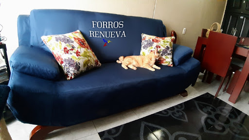 Forros Muebles - Forros Renueva - Oficinas De Empresa en Bogotá