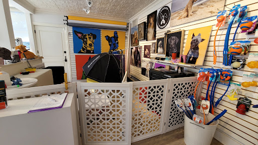 Pet Supply Store «Diggidy Dog», reviews and photos, Ocean Ave & Monte Verde St, Carmel-By-The-Sea, CA 93923, USA