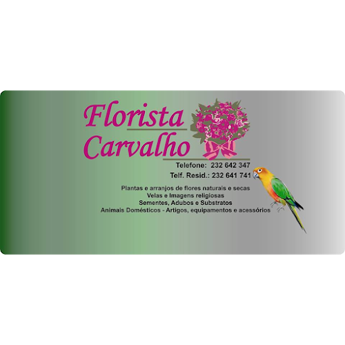Florista Carvalho - Floricultura