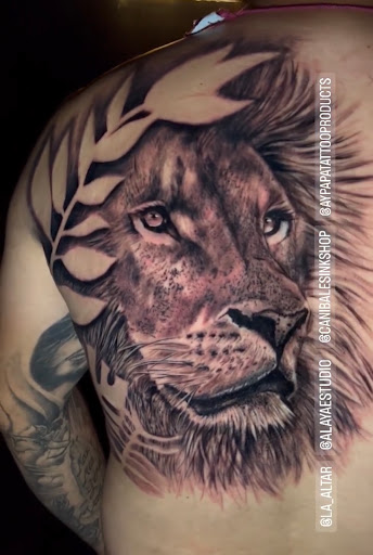Explore jet tattoo ideas, creative tattoo ideas in Downey, available at Superior Ink Tattoo and Piercings