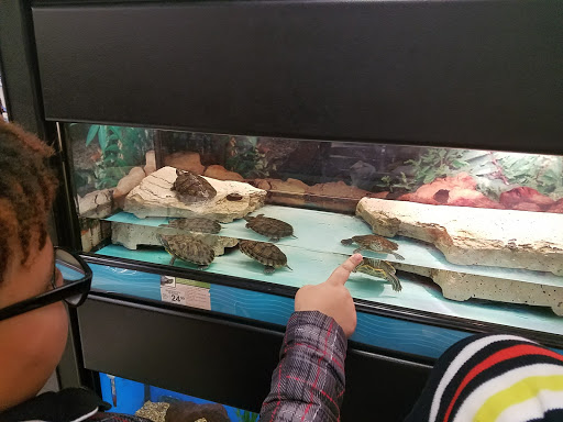 Pet Supply Store «Petco Animal Supplies», reviews and photos, 2350 Central Park Ave, Yonkers, NY 10710, USA