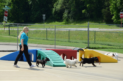 Pet Boarding Service «Pet Palace», reviews and photos, 2803 Trough Springs Rd, Clarksville, TN 37043, USA