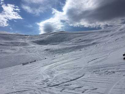 Mt Dobson Ski Area