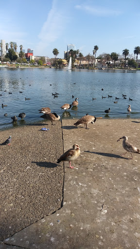 City Park «MacArthur Park», reviews and photos, 2230 W 6th St, Los Angeles, CA 90057, USA