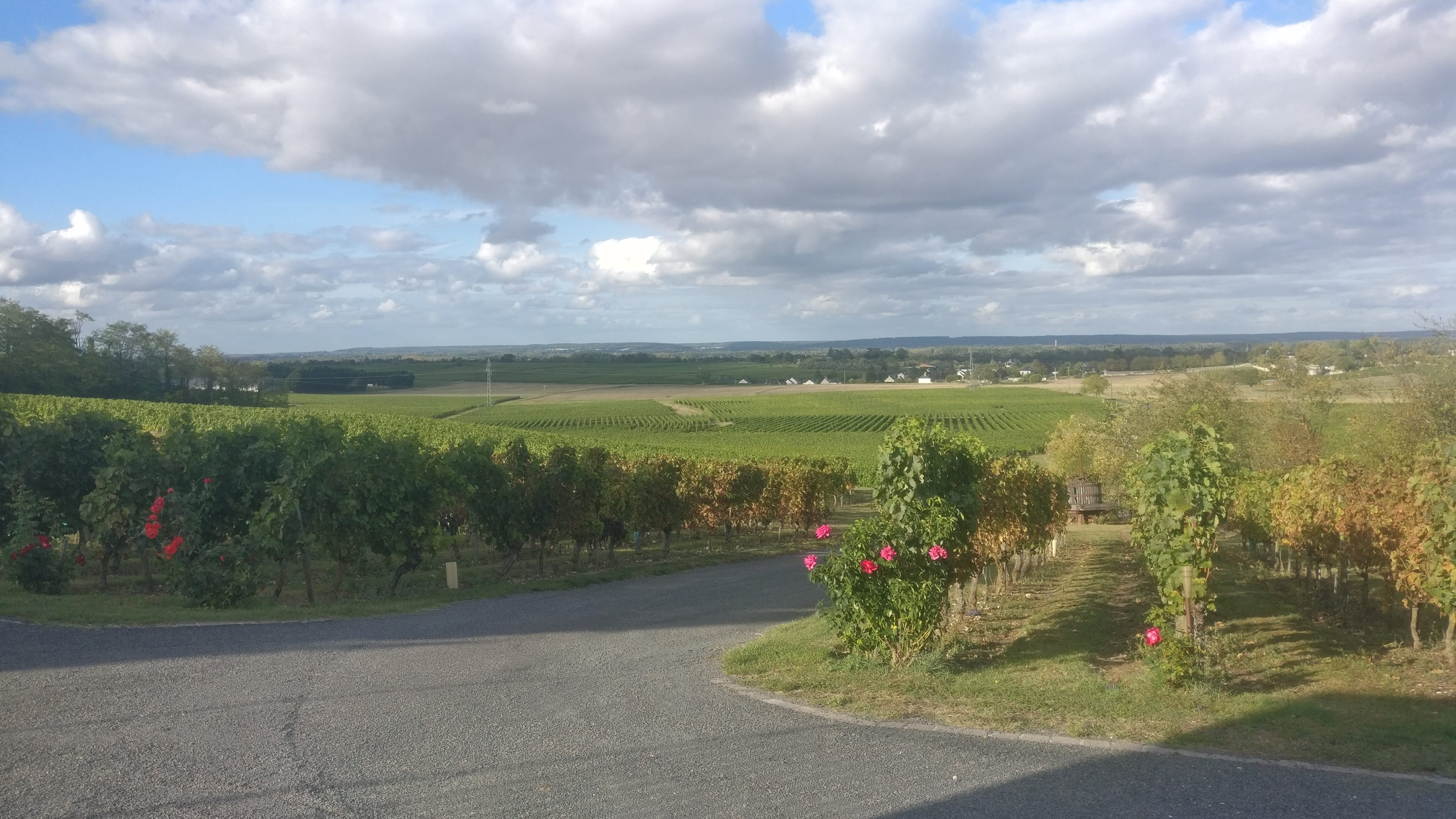 Photo n° 1 de l'avis de Ian.u fait le 23/03/2019 à 08:28