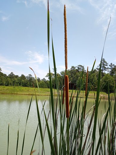 Park «Lake Houston Wilderness Park», reviews and photos, 25840 FM 1485, New Caney, TX 77357, USA