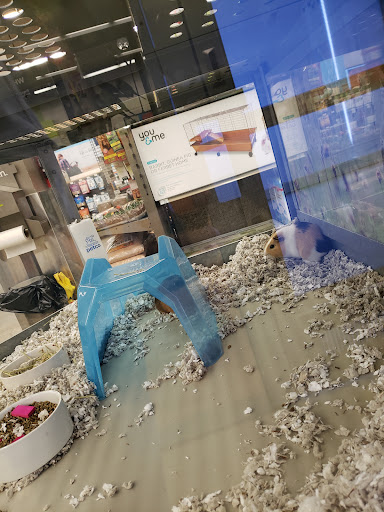 Pet Supply Store «Petco Animal Supplies», reviews and photos, 693 Middletown Warwick Rd, Middletown, DE 19709, USA