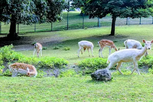 Maryon Wilson Animal Park image