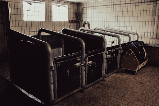C. Equine - Tierärztliche Praxis für Pferde unter Vechta, Niedersachsen
