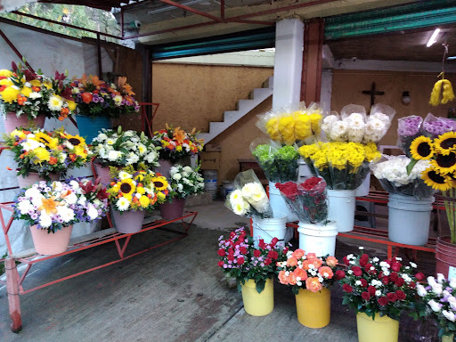 Florería Los Cipreses florería en  en la zona Las Huertas 1ra Secc