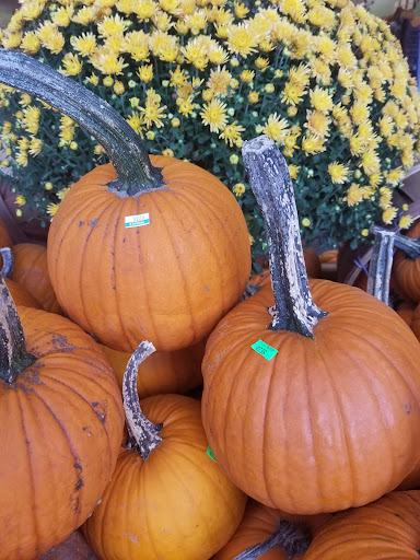 Supermarket «Big Y», reviews and photos, 1111 Providence Hwy, Walpole, MA 02081, USA