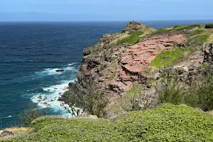 ʻOhai Trail image