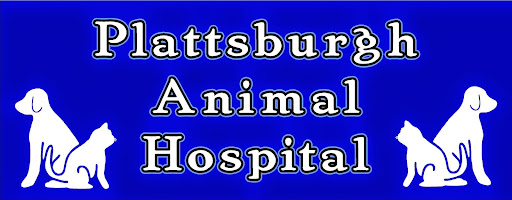 Plattsburgh Animal Hospital image 9