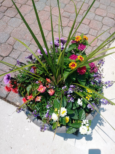 Florist «Dutch & Olgas Greenhouse», reviews and photos, 1285 NJ-36, Hazlet, NJ 07730, USA