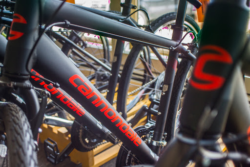 Bicycle Store «The Bicycle Center», reviews and photos, 612 Federal Rd, Brookfield, CT 06804, USA