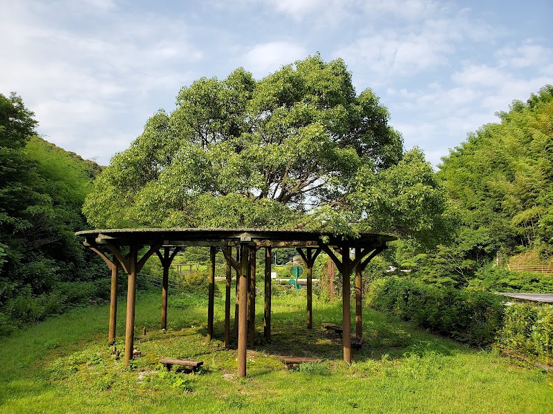 福井ダム公園