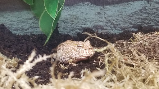 Pet Supply Store «Petco», reviews and photos, 590 E Waterfront Dr, Homestead, PA 15120, USA