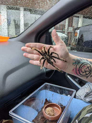 Pet Store «Lake City Pets and Supplies & Grooming», reviews and photos, 1101 US-90, Lake City, FL 32055, USA