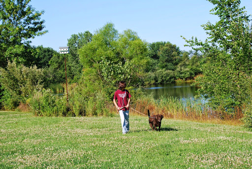 Law's Country Kennel