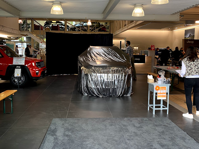 Rezensionen über Garage H. Bühlmann AG in Winterthur - Autohändler