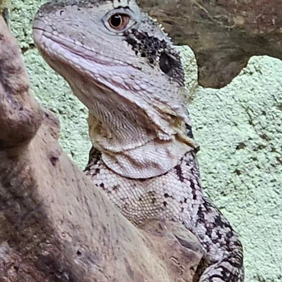 Photo n° 2 de l'avis de luderw. fait le 27/07/2023 à 15:56