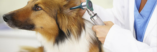 Triad Animal Hospital image