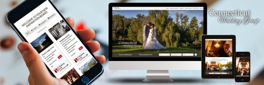 Palm Tree Branding & Web Design