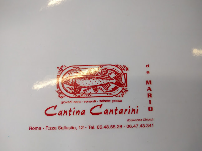 Commenti e recensioni di Ristorante Cantina Cantarini