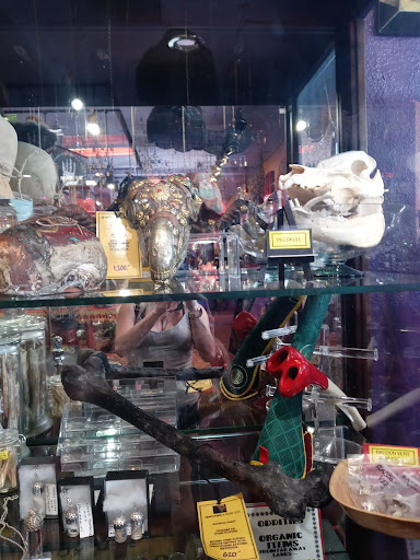 Book Store «Psychic Eye Book Shops», reviews and photos, 6848 W Charleston Blvd, Las Vegas, NV 89117, USA