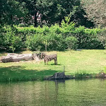 Photo n° 3 de l'avis de Elodie.h fait le 10/07/2023 à 09:14 pour Lac Saint Hélène à Bujaleuf