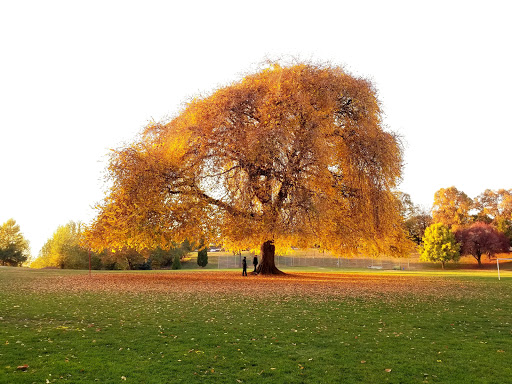 Park «Overlook Park», reviews and photos, 1599 N Fremont St, Portland, OR 97227, USA