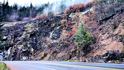 National Forest «Umpqua National Forest», reviews and photos, 1121 Houser Ct, Idleyld Park, OR 97447, USA