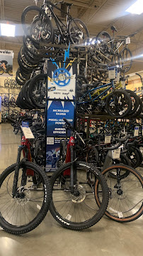 Sun & Ski Sports - Photo 9 - Car repair in Fort Worth, TX, Fort Worth