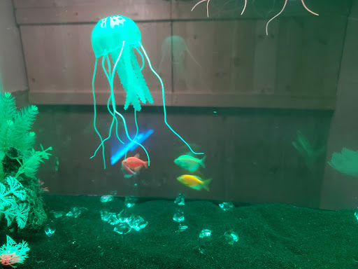 Pet Supply Store «Pet Supplies Plus», reviews and photos, 3205 W 115th St, Merrionette Park, IL 60803, USA