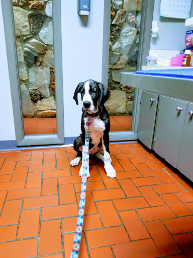 Wyoming Animal Hospital image