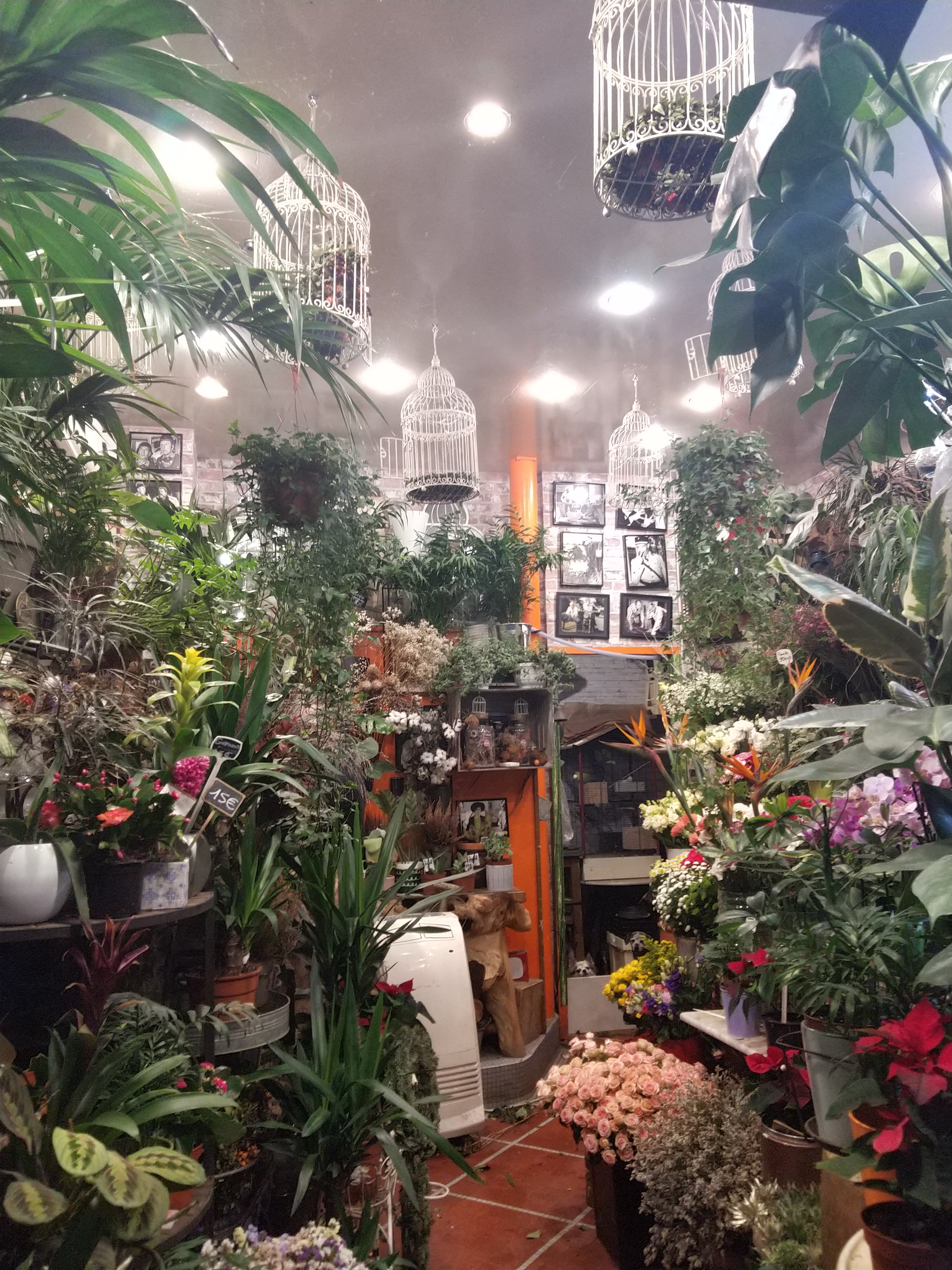 Photo n° 1 de l'avis de Ema.e fait le 30/12/2021 à 19:51