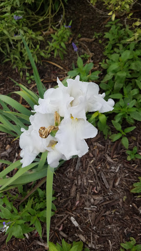 Recreation Center «Joe Farmer Recreation Center», reviews and photos, 1201 E Bethany Dr, Allen, TX 75002, USA