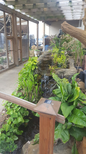 Pet Store «Fish-N-Pets Unlimited», reviews and photos, 11710 Bissonnet St, Houston, TX 77099, USA