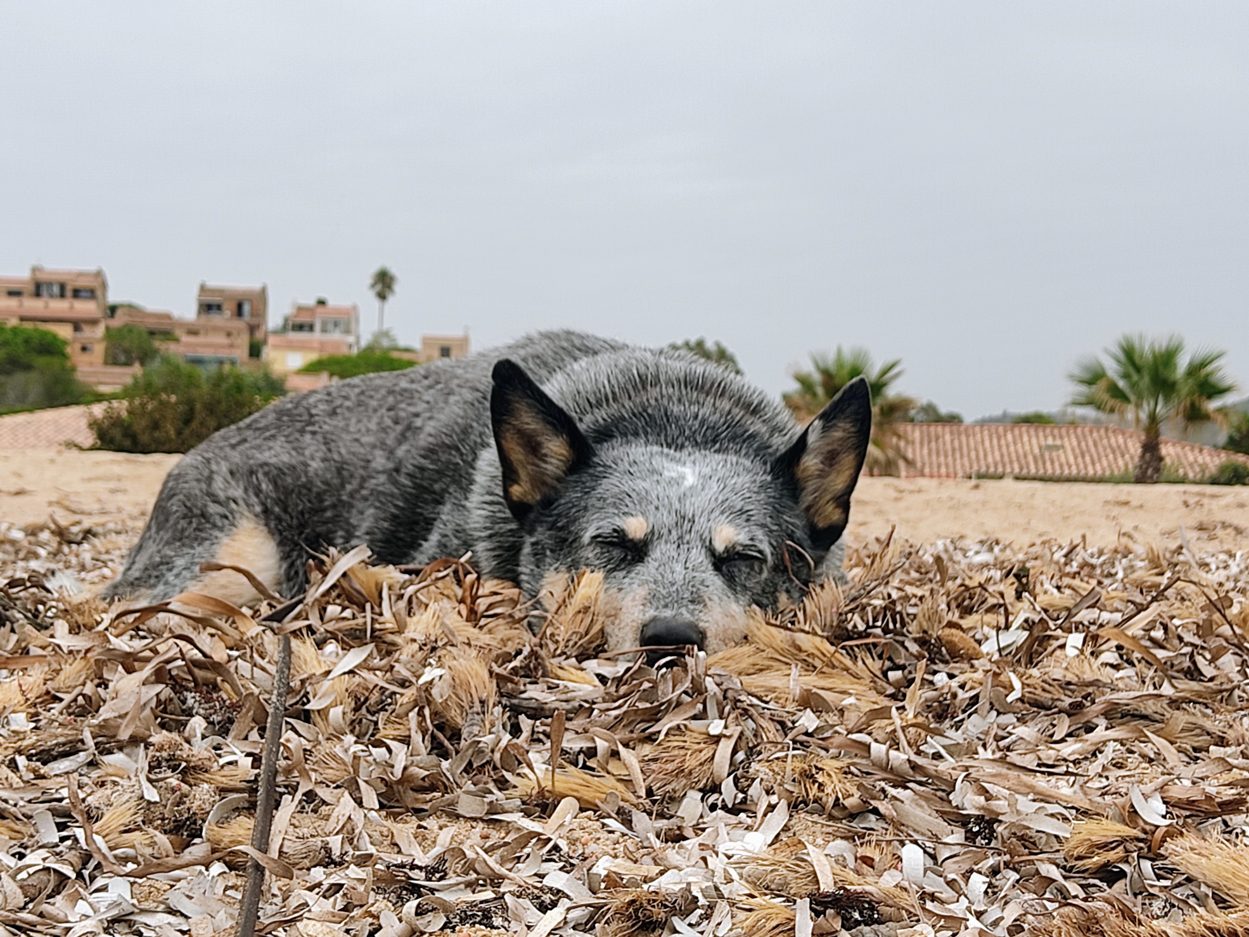 Photo n° 3 de l'avis de Anita.. fait le 24/09/2023 à 15:58