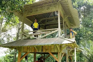 RUMAH POHON CIDAMPIT image