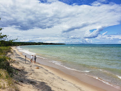 Bohemian Road Beach'in fotoğrafı vahşi alan