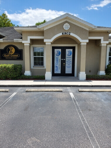 Gulf Coast Veterinary Center of Tampa image