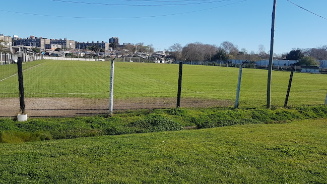 Cancha Danubio Ingeniero del campo - Campo de fútbol