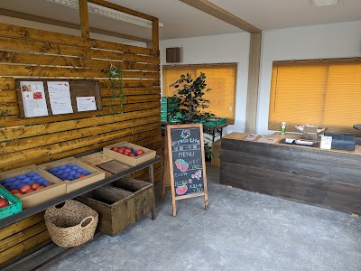いちごとトマトの「母里農園」