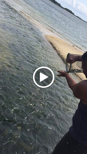 Campground «Camp Gateway - Sandy Hook», reviews and photos, 26 Hudson Rd, Highlands, NJ 07732, USA