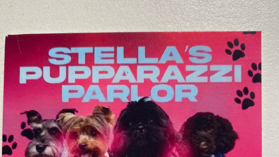 Stella's Pupparazzi Parlor