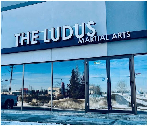 The Ludus Martial Arts Academy