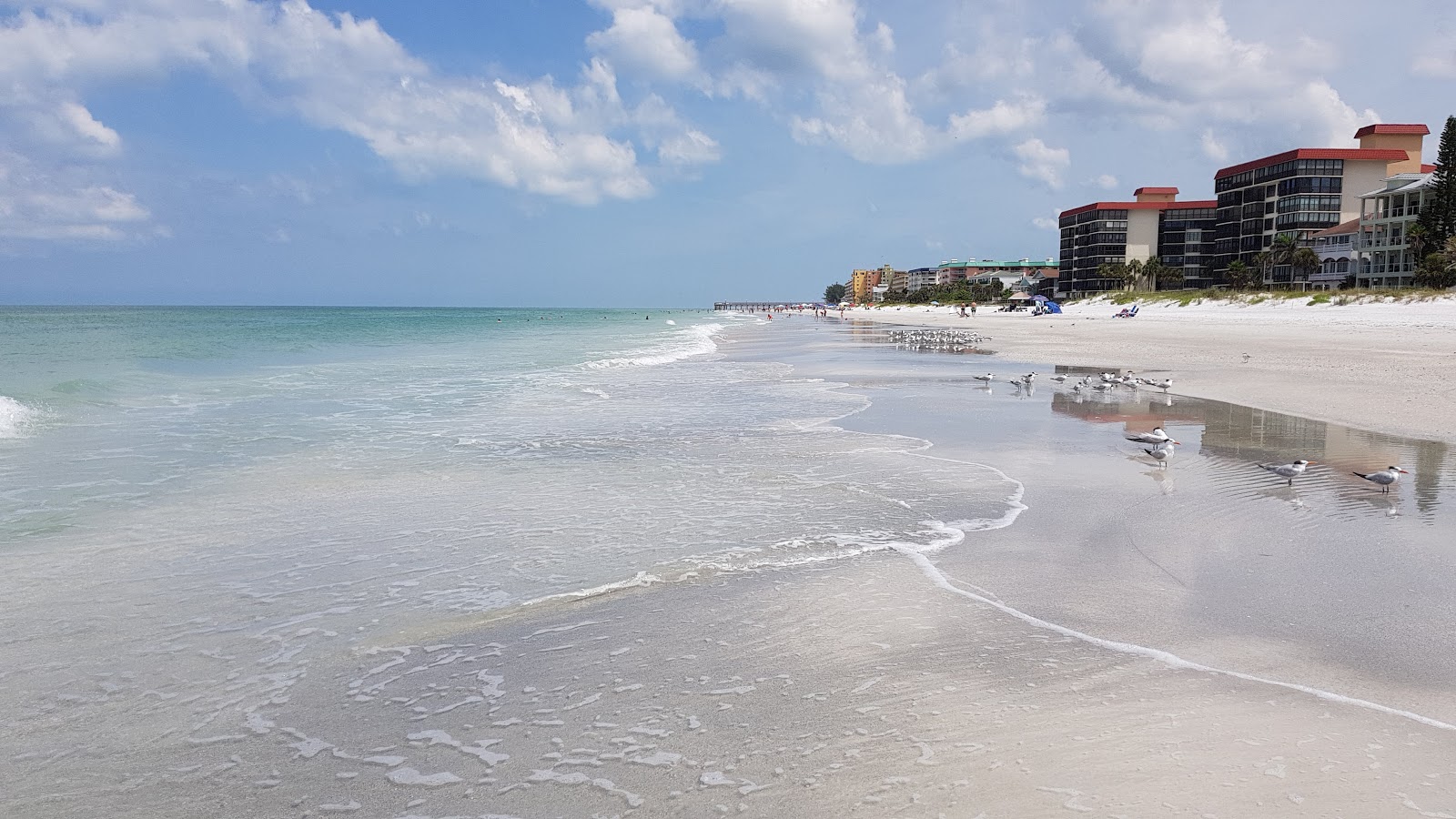 Fotografija Plaža Redington Shores z visok stopnjo čistoče