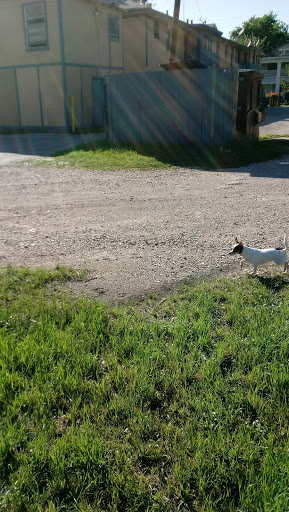 Park «Buckner Park», reviews and photos, 4550 Worth St, Dallas, TX 75246, USA