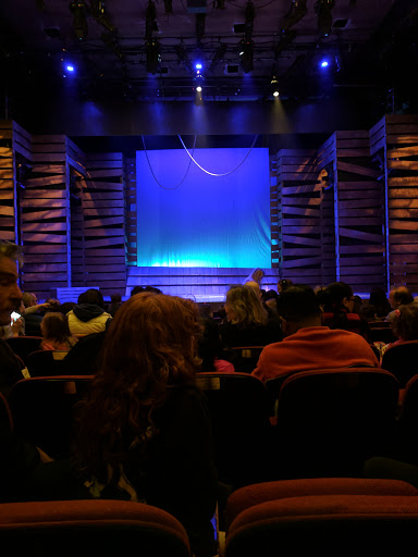 Performing Arts Theater «Smithtown Center for the Performing Arts», reviews and photos, 2 E Main St, Smithtown, NY 11787, USA